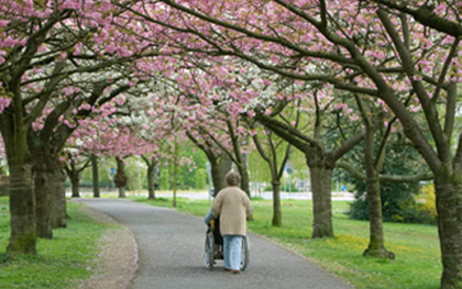 Caregiver pushing Hospice patient in wheelchair through park
